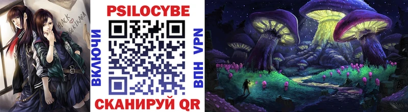 hydra вход  Краснообск  Галлюциногенные грибы Cubensis 